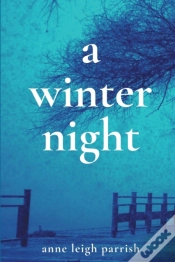 Capa do artigo A Winter Night
