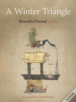 Capa do artigo A Winter Triangle