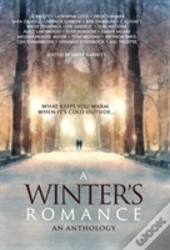 A Winter'S Romance