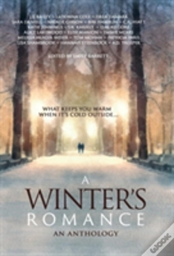 Capa do artigo A Winter'S Romance