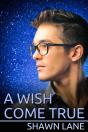 A Wish Come True - Preview