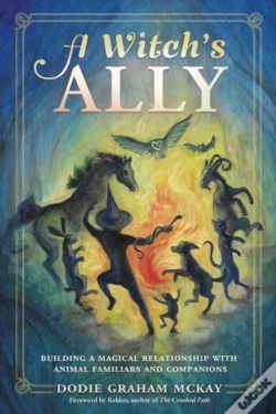 Capa do artigo A Witch'S Ally