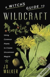 A Witch'S Guide To Wildcraft