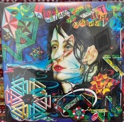 Capa do artigo A Wizard, A True Star - Vinil