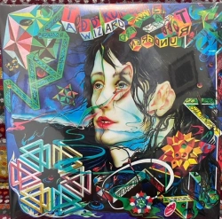 Capa do artigo A Wizard, A True Star - Vinil