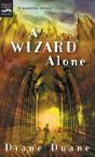 A Wizard Alone - Preview