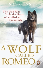 Capa do artigo A Wolf Called Romeo