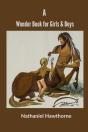 A Wonder Book For Girls & Boys - Preview