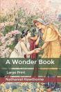 A Wonder Book - Preview