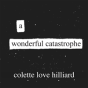 A Wonderful Catastrophe - Preview