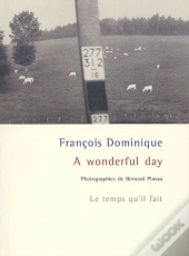A Wonderful Day