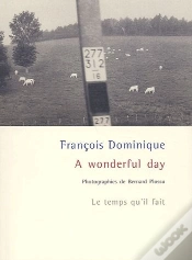 Capa do artigo A Wonderful Day