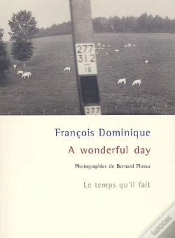 Capa do artigo A Wonderful Day