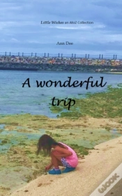 Capa do artigo A Wonderful Trip