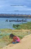 A Wonderful Trip