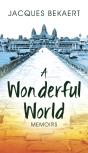 A Wonderful World