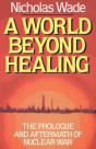 A World Beyond Healing - Preview