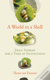 A World In A Shell