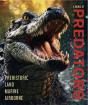 A World Of Predators - Preview