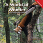 A World Of Wonder - Preview