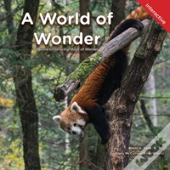 A World Of Wonder