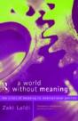 A World Without Meaning - Preview