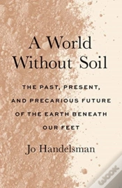 Capa do artigo A World Without Soil