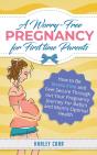 A Worry-Free Pregnancy For First Time Pa - Preview