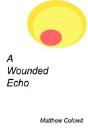 A Wounded Echo - Preview