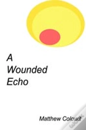 Capa do artigo A Wounded Echo