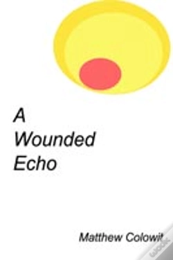 Capa do artigo A Wounded Echo