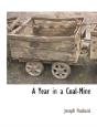 A Year In A Coal-Mine - Preview