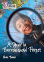 A Year In Barrowswold Forest - Preview