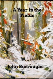 Capa do artigo A Year In The Fields
