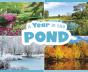 A Year In The Pond - Preview