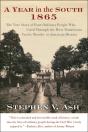 A Year In The South, 1865 - Preview