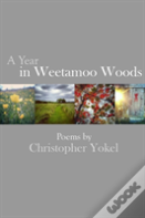 A Year In Weetamoo Woods