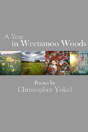 A Year In Weetamoo Woods - Preview