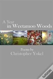 A Year In Weetamoo Woods