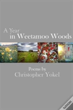 Capa do artigo A Year In Weetamoo Woods