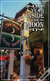 Capa do artigo A Year Inside The Moon