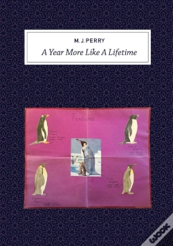 Capa do artigo A Year More Like A Lifetime