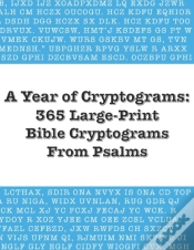 Capa do artigo A Year Of Cryptograms