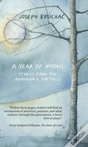 Capa do artigo A Year Of Moons