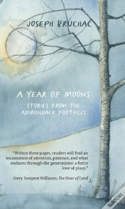 Capa do artigo A Year Of Moons