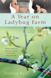 A Year On Ladybug Farm