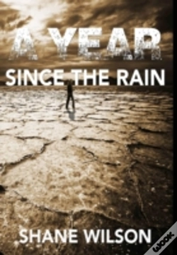 Capa do artigo A Year Since The Rain