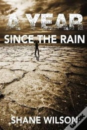 Capa do artigo A Year Since The Rain