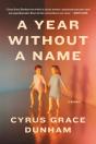 A Year Without A Name - Preview