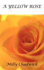 A Yellow Rose - Preview